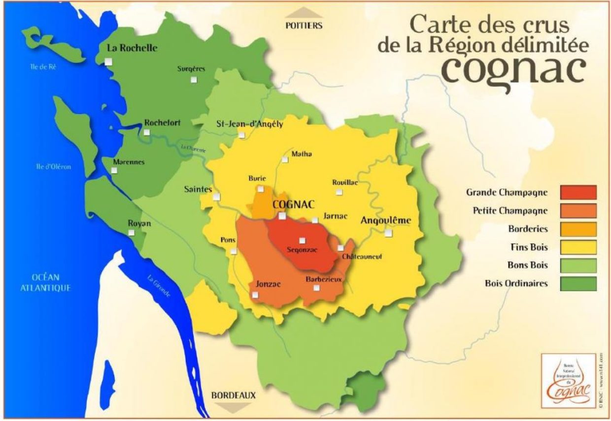 Cognac Fine Champagne : quelle est cette catégorie ?