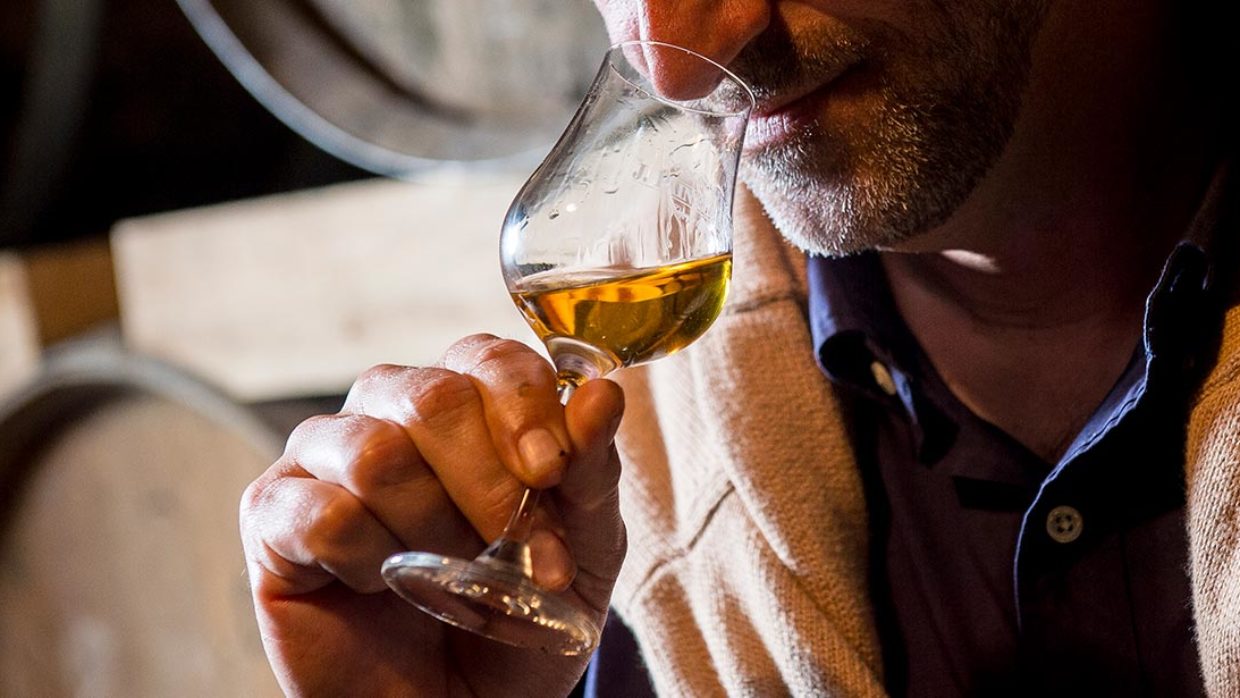 Cognac XO, une référence dans le monde des spiritueux