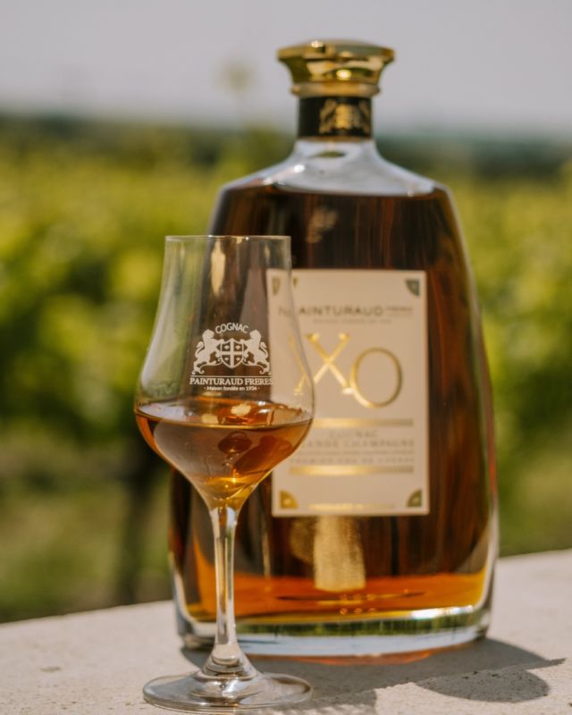 VISITE DÉGUSTATION EXCLUSIVE 🥃

Découvrez notre distillerie et nos chais historiques, où tradition et savoir-faire se rencontrent, puis laissez-vous séduire par une dégustation exclusive au milieu de nos vignes, offrant une vue imprenable sur les vignobles de Grande Champagne.

👉🏼 Infos et réservation en cliquant sur le lien en bio

_________

EXCLUSIVE TASTING TOUR 🥃

Discover our distillery and historic cellars, where tradition and expertise come together, then enjoy an exclusive tasting amidst our vineyards with breathtaking views of the Grande Champagne vineyards.

👉🏼 Info and booking by clicking on the link in bio

📸 @giovannaiadaa

#spiritourisme #distillerie #vignoble #cognactasting #xocognac #cognacxo #cognac #cognaccollection #cognaccollector #spiritueux #spiritueuxfrancais #spirits #grandechampagne #cognaclover #cognaclife #charente #cognacmaville #discovercognac #destinationcognac #igerscognac