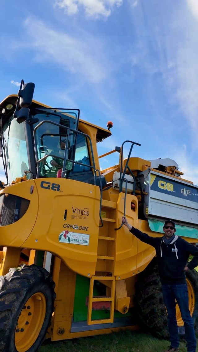 C’est la saison des vendanges, et l’effervescence bat son plein ! 🚜
Toute l’équipe est sur le pont pour récolter des raisins de qualité optimale.

Malgré quelques petits défis mécaniques et un soleil souvent timide, l’ambiance reste au beau fixe et la passion ne faiblit pas. Chaque grappe que nous récoltons est un pas de plus vers un millésime dont nous sommes déjà fiers 🍇

#vendanges #harvest #cognac #cognaccollection #cognaccollector #spiritueux #spiritueuxfrancais #spirits #grandechampagne #cognaclover #cognaclife #charente #cognacmaville #discovercognac #destinationcognac #igerscognac